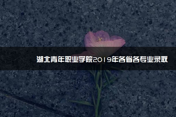 湖北青年职业学院2019年各省各专业录取分数线