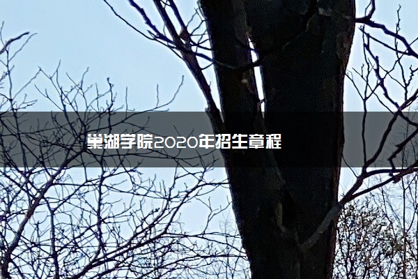 巢湖学院2020年招生章程