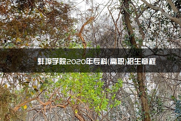 蚌埠学院2020年专科（高职）招生章程