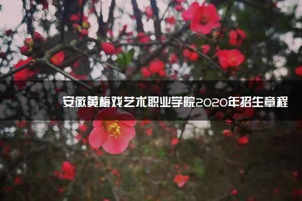 安徽黄梅戏艺术职业学院2020年招生章程