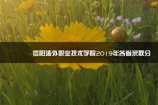 信阳涉外职业技术学院2019年各省录取分数线详情