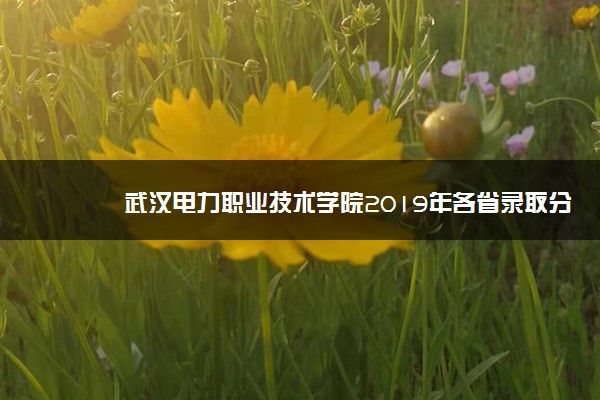 武汉电力职业技术学院2019年各省录取分数线详情