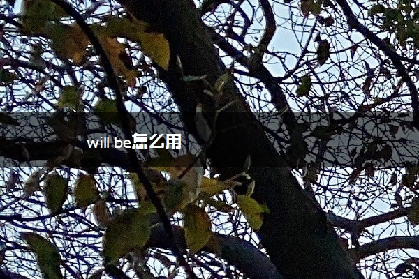 will be怎么用