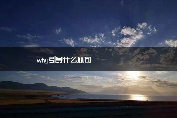 why引导什么从句