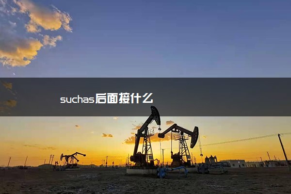 suchas后面接什么