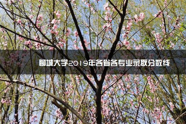 聊城大学2019年各省各专业录取分数线