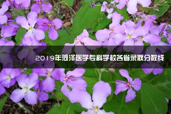 2019年菏泽医学专科学校各省录取分数线