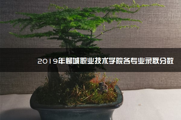 2019年聊城职业技术学院各专业录取分数线