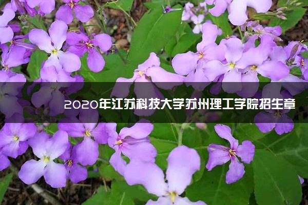 2020年江苏科技大学苏州理工学院招生章程