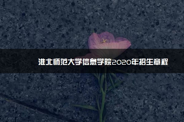 淮北师范大学信息学院2020年招生章程