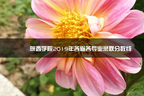 皖西学院2019年各省各专业录取分数线