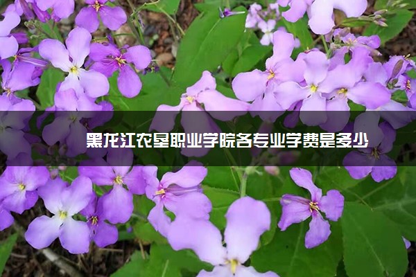 黑龙江农垦职业学院各专业学费是多少