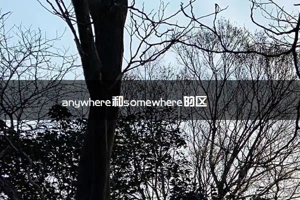 anywhere和somewhere的区别