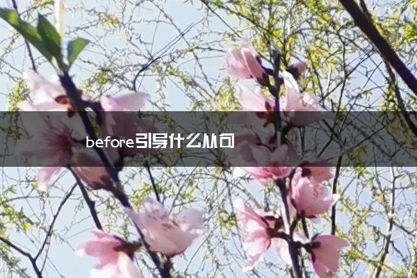 before引导什么从句