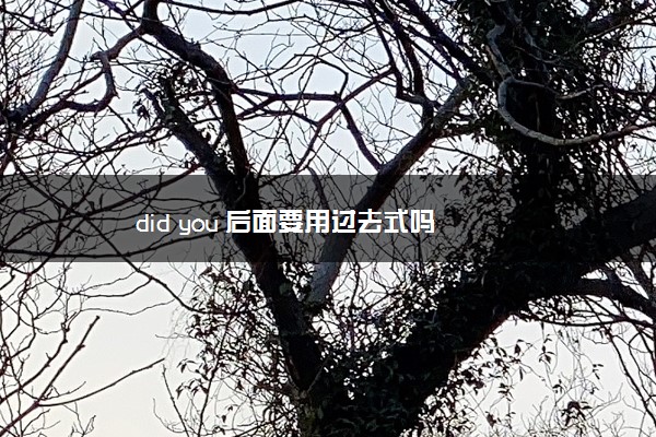 did you 后面要用过去式吗