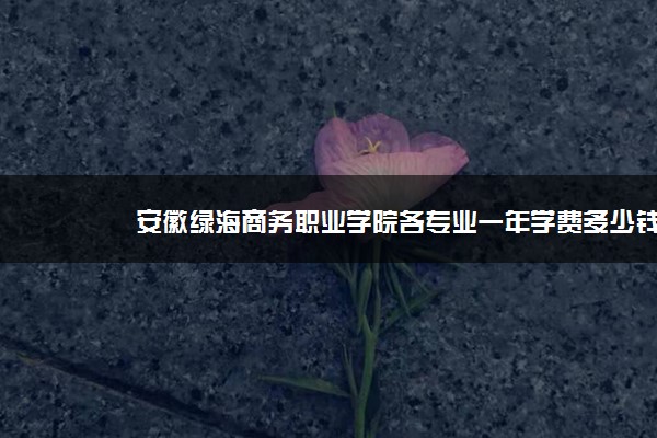 安徽绿海商务职业学院各专业一年学费多少钱