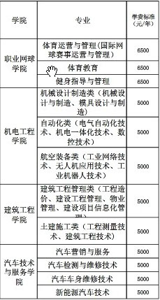 武汉城市职业学院学费