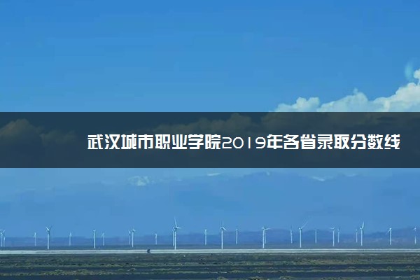 武汉城市职业学院2019年各省录取分数线汇总