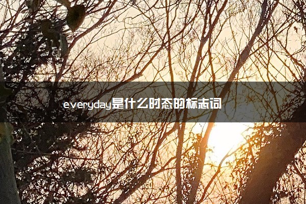 everyday是什么时态的标志词