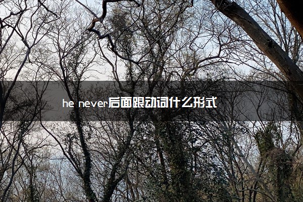 he never后面跟动词什么形式