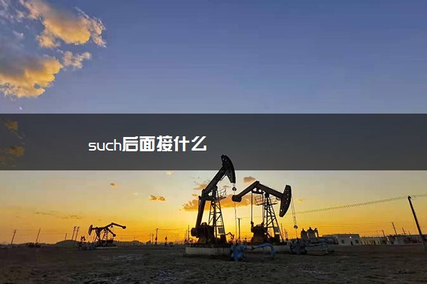 such后面接什么