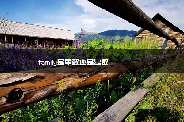 family是单数还是复数