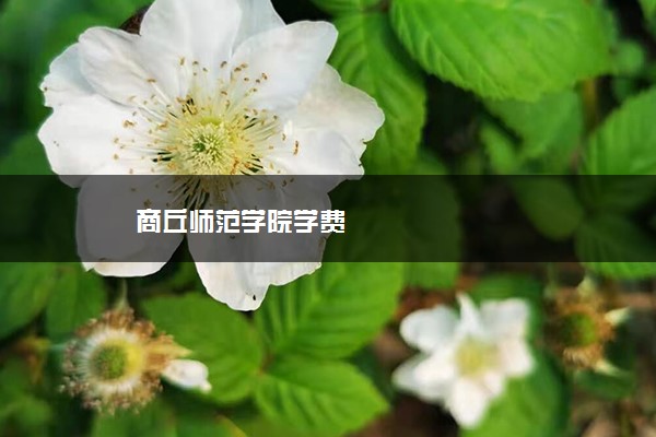 商丘师范学院学费