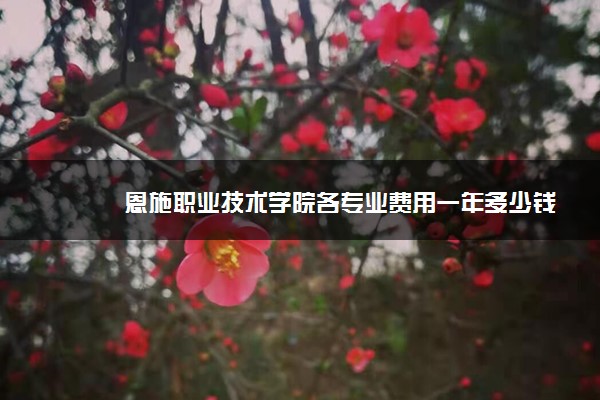 恩施职业技术学院各专业费用一年多少钱