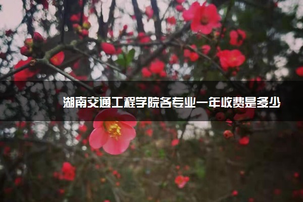 湖南交通工程学院各专业一年收费是多少