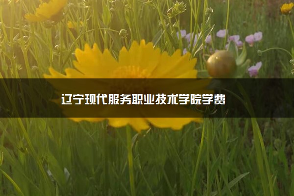 辽宁现代服务职业技术学院学费