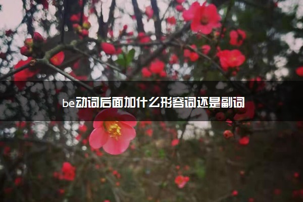 be动词后面加什么形容词还是副词