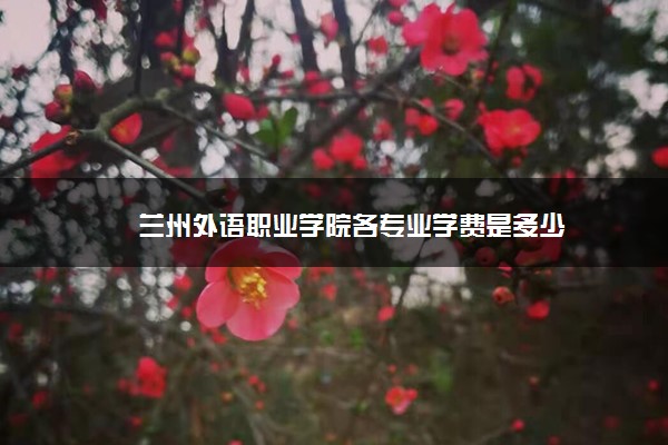 兰州外语职业学院各专业学费是多少