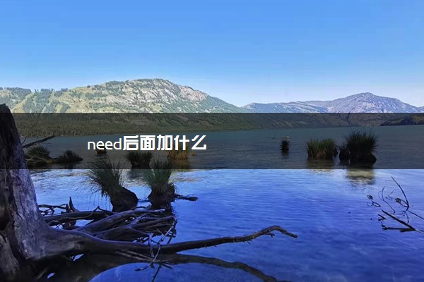 need后面加什么