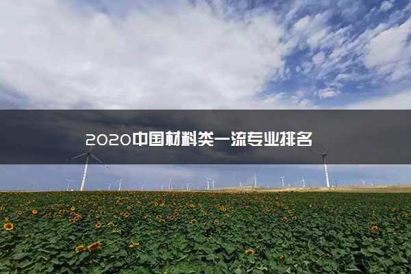 2020中国材料类一流专业排名