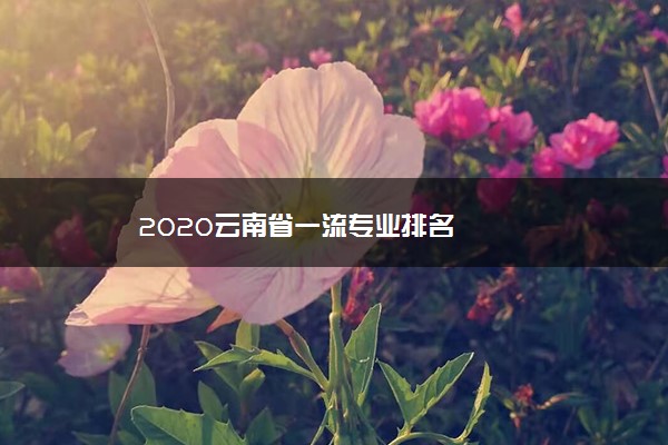 2020云南省一流专业排名