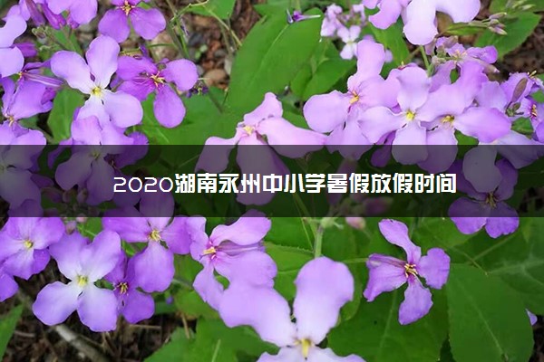 2020湖南永州中小学暑假放假时间