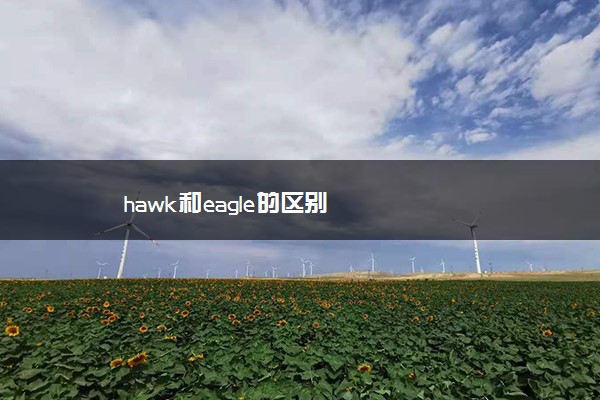 hawk和eagle的区别