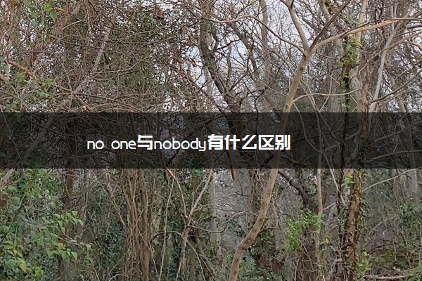 no one与nobody有什么区别