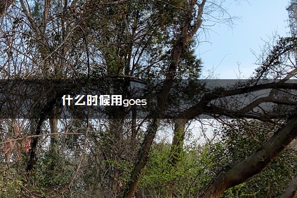 什么时候用goes