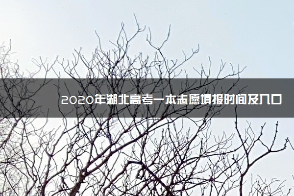 2020年湖北高考一本志愿填报时间及入口