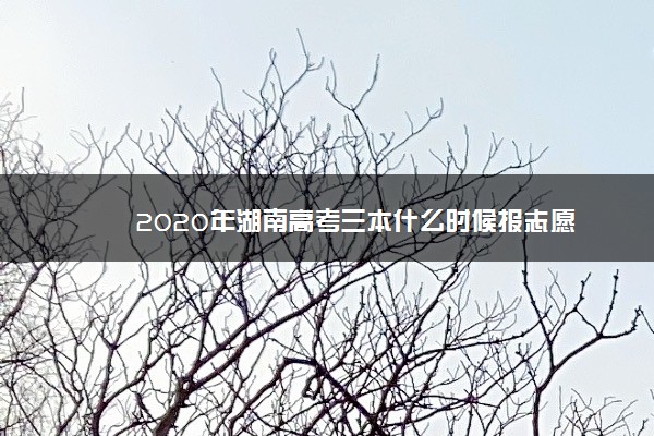 2020年湖南高考三本什么时候报志愿