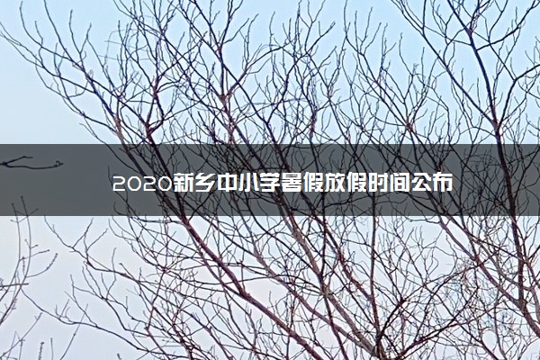 2020新乡中小学暑假放假时间公布