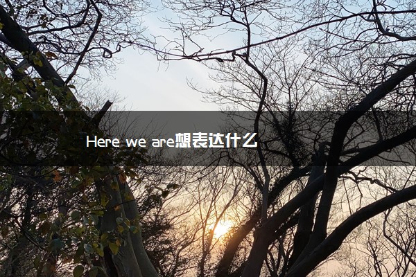 Here we are想表达什么