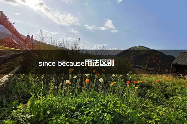 since because用法区别