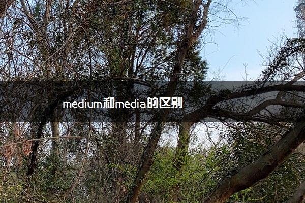 medium和media的区别