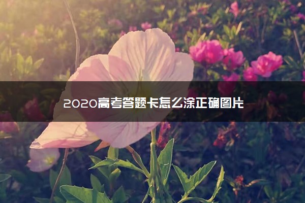 2020高考答题卡怎么涂正确图片