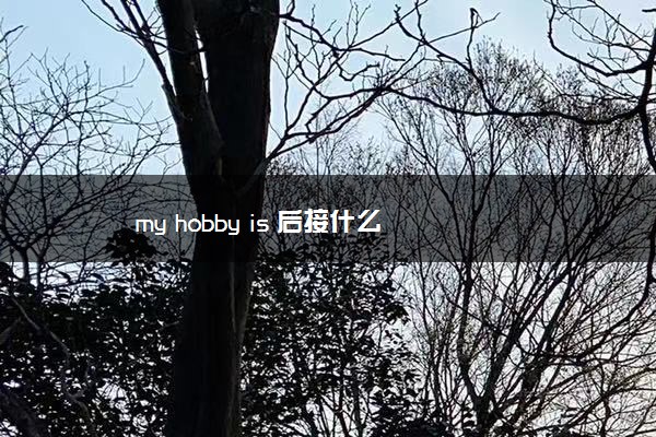 my hobby is 后接什么