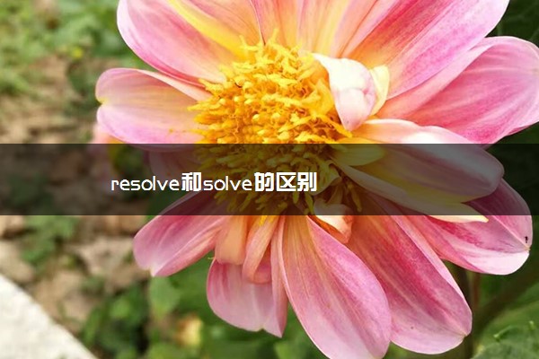 resolve和solve的区别