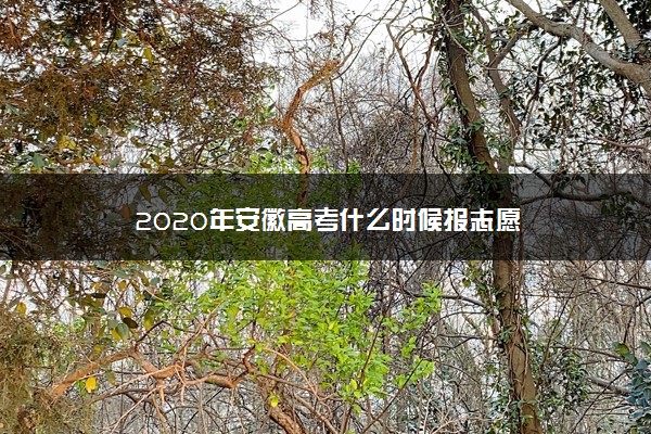 2020年安徽高考什么时候报志愿