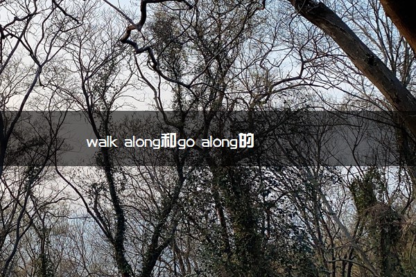 walk along和go along的区别